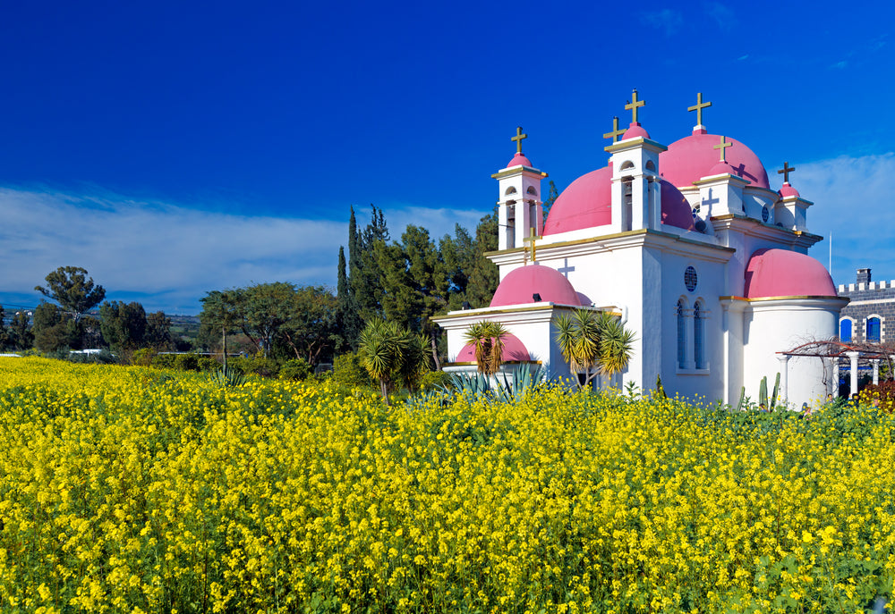 Holy Land (Live the Bible 12 Days)